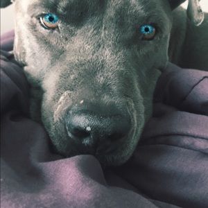 Meet your Posher, Sandra